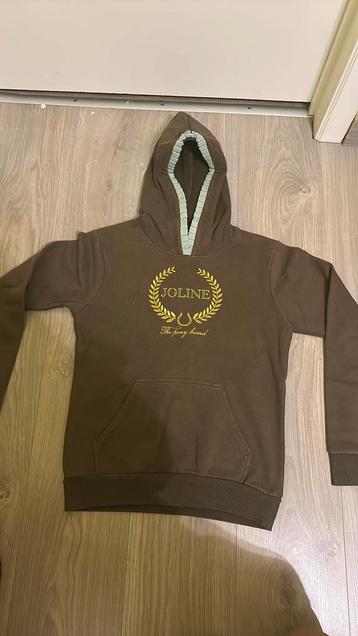 Joline 13-14 jaar (paardrij)hoodie Groen beschikbaar voor biedingen