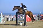 10-jarig springpaard met potentieel, Dieren en Toebehoren, Springpaard, Gechipt, Ruin, 7 tot 10 jaar