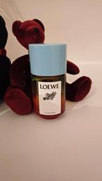 Loewe paula's ibiza, Enlèvement ou Envoi, Neuf