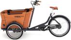 elektrische Babboe Curve Mountain bakfiets, Fietsen en Brommers, Ophalen of Verzenden, Zo goed als nieuw