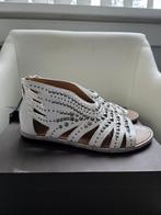 lederen sandalen met studs van Roberto Cavalli., Wit, Nieuw, Roberto Cavalli, Sandalen of Muiltjes