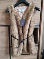 Bodywarmer NIEUW medium, Ophalen of Verzenden, Nieuw