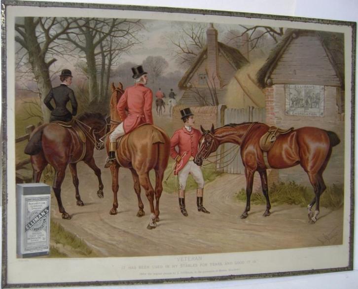 Reclame Gelatine Elliman's Royal Horse London 1891, Verzamelen, Merken en Reclamevoorwerpen, Gebruikt, Reclamebord, Ophalen of Verzenden
