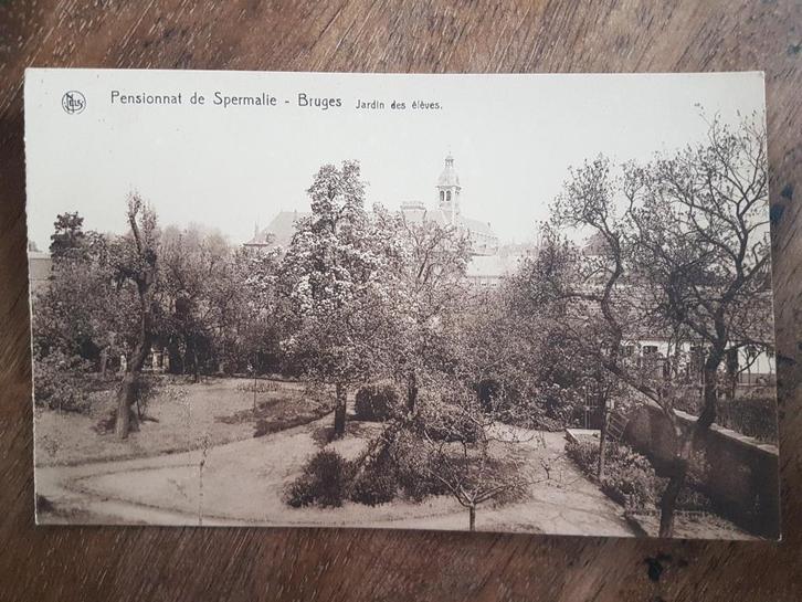 Postkaart Brugge Bruges Pensionnat de Spermalie Jardin, Verzamelen, Postkaarten | België, Gelopen, West-Vlaanderen, 1920 tot 1940