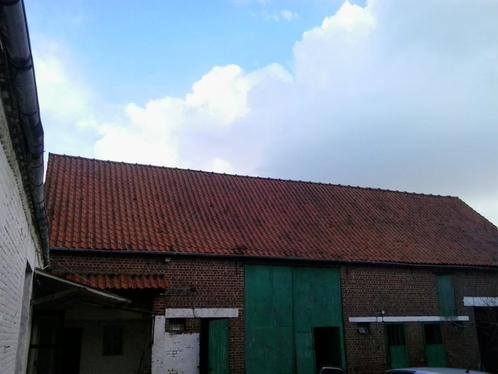 Dakpannen Sterreberg Courtrai (made in Belgium), Doe-het-zelf en Bouw, Dakpannen en Dakbedekking, Gebruikt, Dakpannen, Steen of Klei