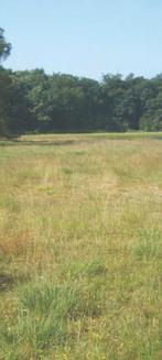 Grasland - Weiland gezocht, Ophalen