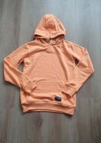 Hoodie Garcia maat.152, Enfants & Bébés, Vêtements enfant | Taille 152, Garçon, Enlèvement ou Envoi, Pull ou Veste, Comme neuf