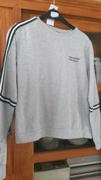 Trui maat small grijs, Kleding | Dames, Truien en Vesten, Ophalen of Verzenden, Zo goed als nieuw, Grijs