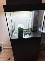 Aquarium avec meuble, Dieren en Toebehoren, Ophalen, Zo goed als nieuw
