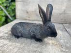 Jonge vlaamse reus, Dieren en Toebehoren