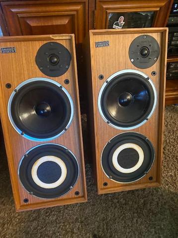 Celestion Ditton 15XR beschikbaar voor biedingen