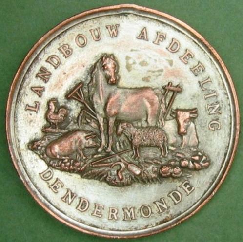 GEZOCHT medaille penningen plakketten Groot Dendermonde, Postzegels en Munten, Penningen en Medailles, Overige materialen, Verzenden