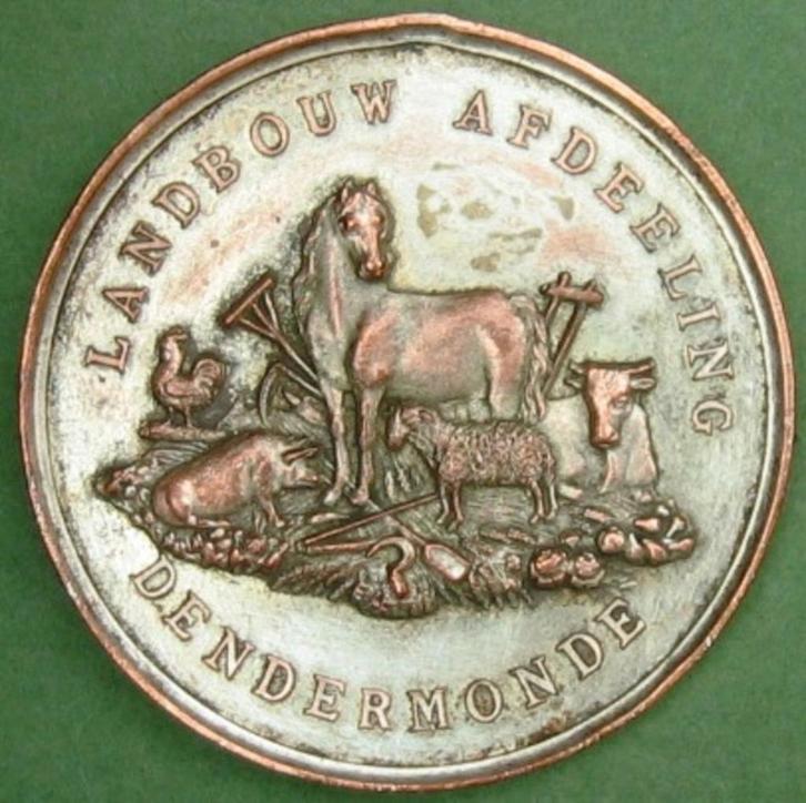 GEZOCHT medaille penningen plakketten Groot Dendermonde, Postzegels en Munten, Penningen en Medailles, Overige materialen, Verzenden