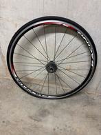 Achterwiel Fulcrum Racing 5 - velgrem, Fietsen en Brommers, Fietsonderdelen, Fulcrum, Gebruikt, Racefiets, Ophalen