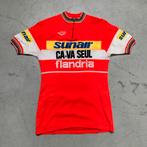 Flandria 1979 Ca Va Seul Sunair koerstrui wielertrui vintage, Vélos & Vélomoteurs, Accessoires vélo | Vêtements de cyclisme, Utilisé