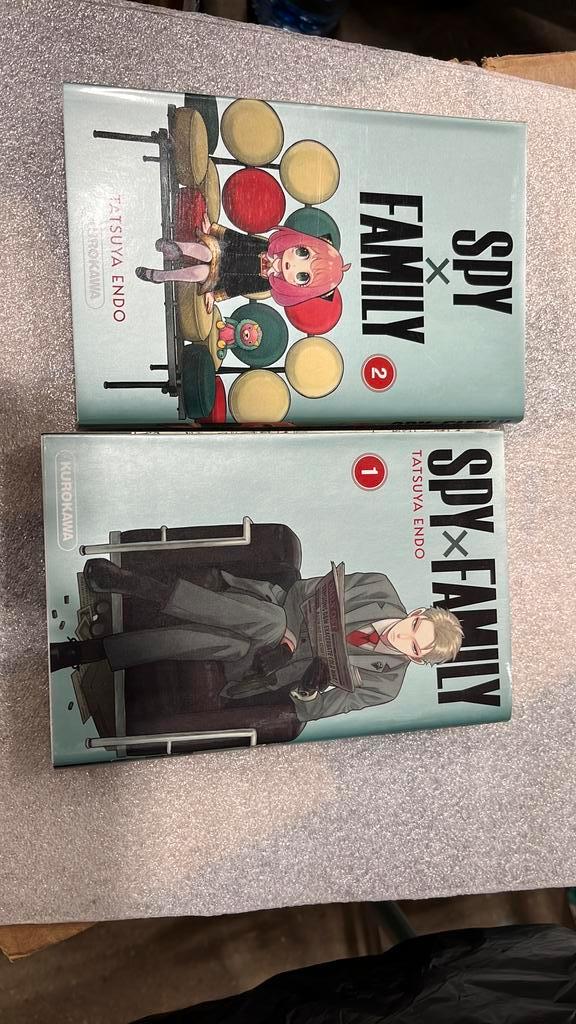 Manga spy family, Livres, BD | Comics, Enlèvement