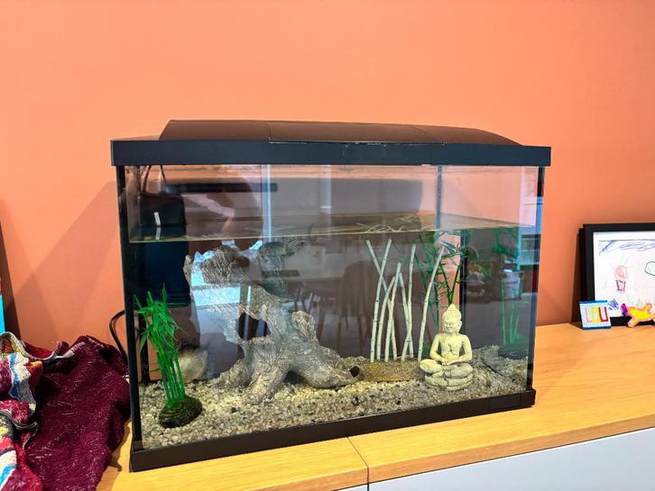 Aquarium + accessoires, Dieren en Toebehoren, Vissen | Aquaria en Toebehoren, Zo goed als nieuw, Leeg aquarium, Ophalen