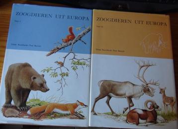 Dieren van Europa 1 of 2 met prenten