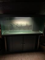 Aquarium 526l, Ophalen, Gebruikt, Gevuld zoetwateraquarium
