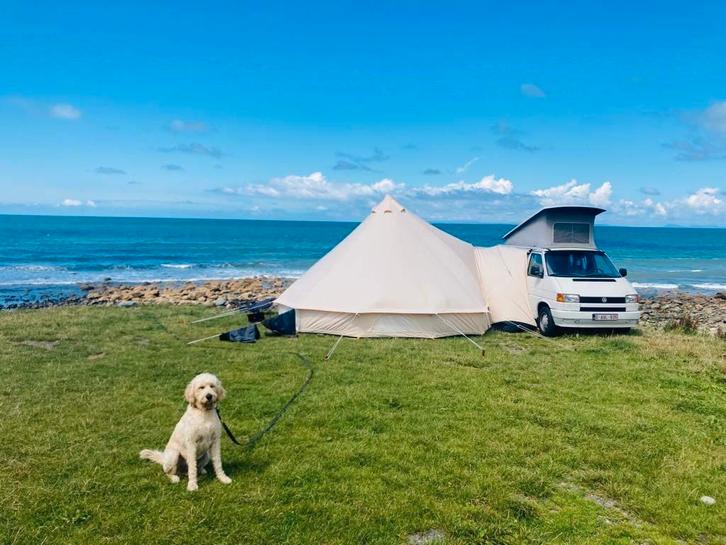 VW T4 California – Oldtimer entretenu – CT 2026, Caravans en Kamperen, Mobilhomes, Particulier, tot en met 4, Volkswagen, Diesel