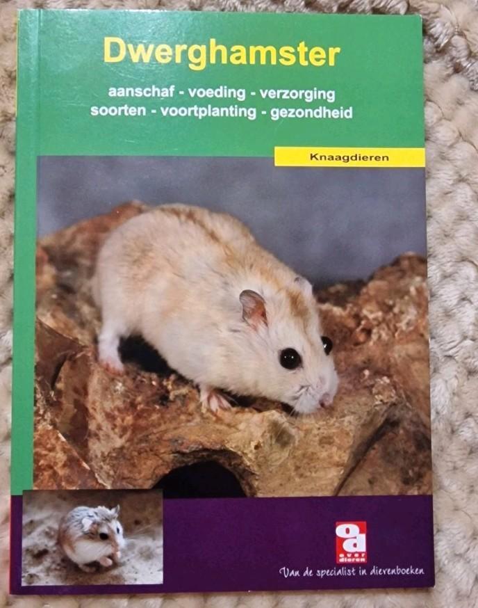 Handboek Dwerghamster - Alles over verzorging & voeding, Livres, Animaux & Animaux domestiques, Comme neuf, Lapins ou Rongeurs