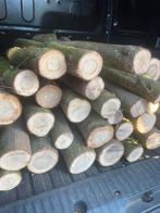 Eikenstammen voor paddestoelenkweek, Enlèvement