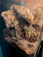 Pierres récifal indonésienne et aquaroche chauffée et brassé, Dieren en Toebehoren, Reptielen en Amfibieën | Toebehoren, Ophalen