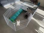 Lief konijn + complete kooi (alles inbegrepen), Dieren en Toebehoren, Kooi, 110 cm of meer, Zo goed als nieuw, Konijn