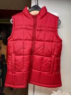 Bodywarmer warm gevoerd, Ophalen, Nieuw, Clockhouse, Maat 36 (S)