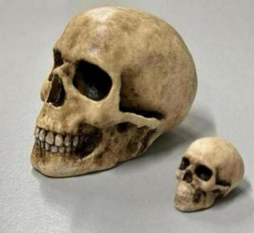 GOOD GUY SKULL Handgemaakt schedel 2x mini Quirky Goth Gift beschikbaar voor biedingen