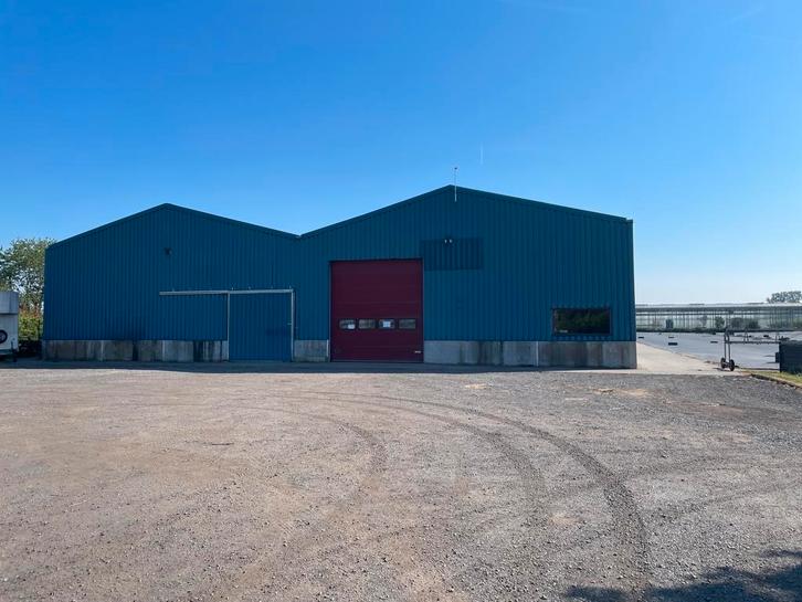 Tuinbouwbedrijf te huur, Zakelijke goederen, Bedrijfs Onroerend goed, Bedrijfsruimte, Huur