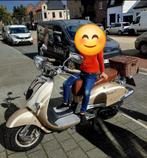 Torino LX 125 cc, Motos, 1 cylindre, Scooter, Particulier, 125 cm³