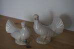 Duifjes - 2 St, Dieren en Toebehoren, Vogels | Duiven