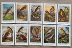Lot 10 cartes OISEAUX DE LA FAUNE BELGE - pr collectionneur, Collections, Enlèvement ou Envoi, 1940 à 1960, Non affranchie, Oiseaux