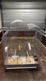 Grote vogelkooi, Enlèvement, Comme neuf