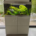 Aquarium OASE HighLine 200 + accessoires, Nieuw, Ophalen, Gevuld zoetwateraquarium