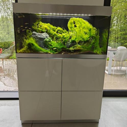Aquarium OASE HighLine 200 + accessoires, Dieren en Toebehoren, Vissen | Aquaria en Toebehoren, Nieuw, Gevuld zoetwateraquarium