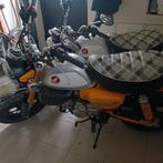 Honda monkey 125cc, Motoren, Motoren | Honda, Particulier