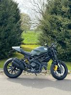 Ducati Monster 1100 Evo vert militaire, Motos, Motos | Ducati, Naked bike, Particulier, 2 cylindres, Plus de 35 kW