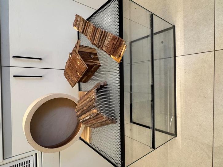 Terrarium voor knaagdieren, Dieren en Toebehoren, Knaagdieren en Konijnen | Hokken en Kooien, Gebruikt, Hok, Minder dan 60 cm