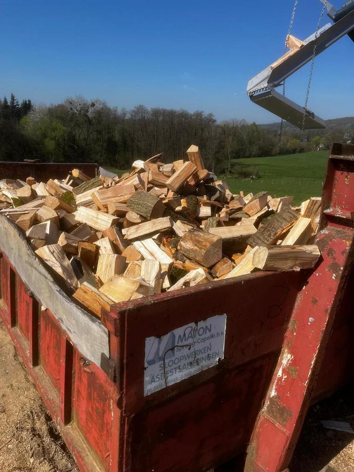 Bois de chauffage sec et semi-sec de haute qualité, Jardin & Terrasse, Bois de chauffage, Hêtre, Enlèvement ou Envoi