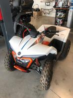 cfmoto c-force EV 110, Motoren, 1 cilinder