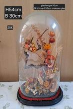 Glazen stolp met gedroogde bloemen, Ophalen