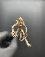Alien rileys baby xenomorph, Ophalen of Verzenden, Zo goed als nieuw