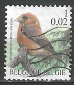 Belgie 2000 - Yvert 2917 /OBP 2918 - Buzin - Kruisbek (ST), Verzenden, Gestempeld, Gestempeld, Voertuigen