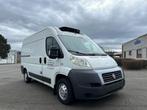 Fiat Ducato frigo, Auto's, Fiat, Voorwielaandrijving, Zwart, 4 cilinders, Wit