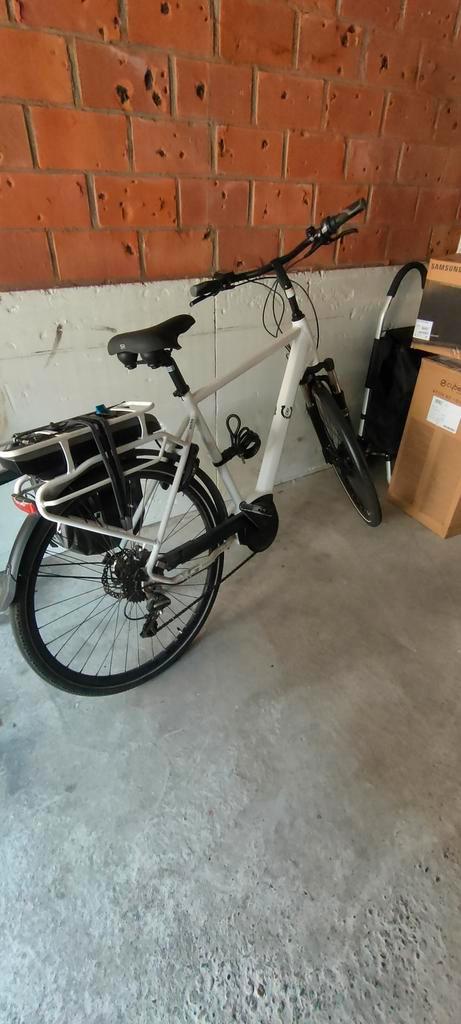 Elektrische herenfiets Granville, Fietsen en Brommers, Elektrische fietsen, Ophalen