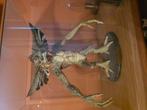 Gremlins stripe grande resine, Collections