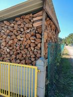 Droog Brandhout, Tuin en Terras, Ophalen, Zo goed als nieuw