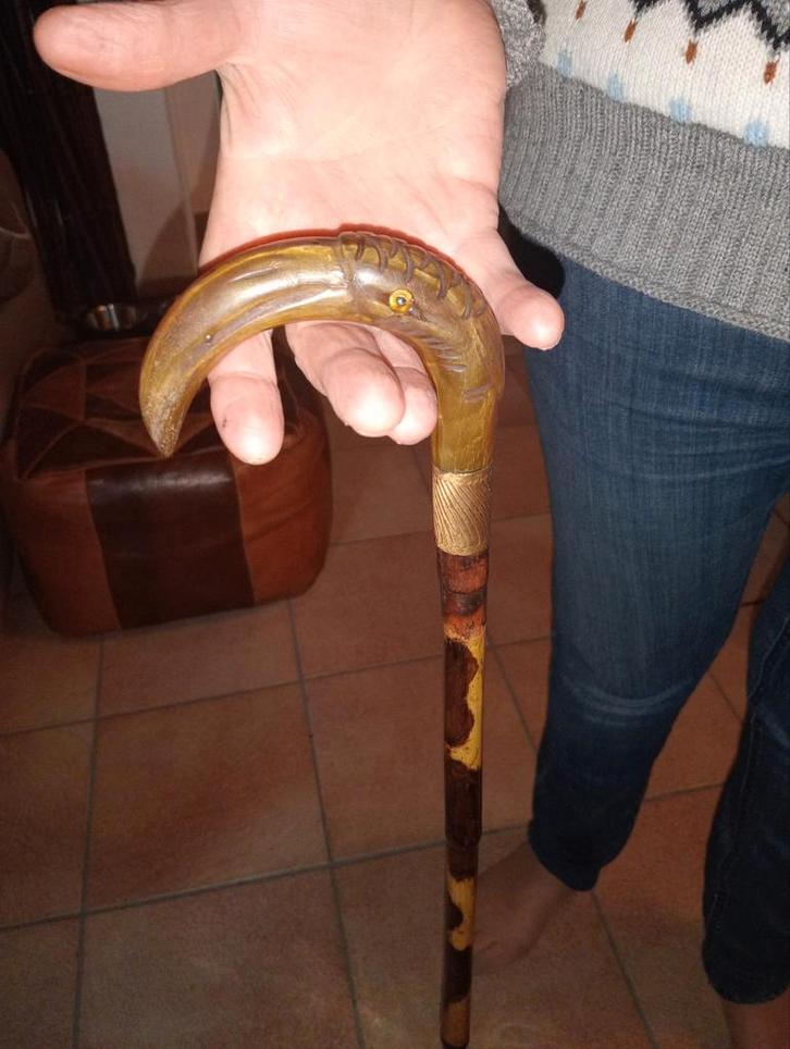 Hoorn en goudstok, Diversen, Wandelstokken, Ophalen of Verzenden